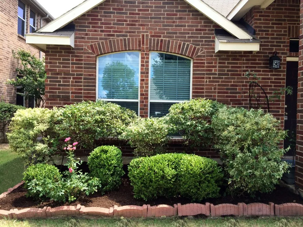 Local lawn mowing service experts serving Denton, TX - Kingreen Services