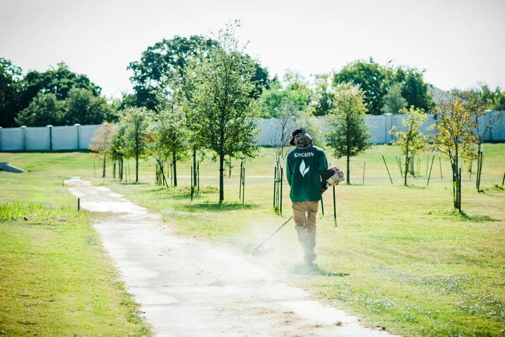Affordable lawn care service experts serving Denton, TX - Kingreen Services