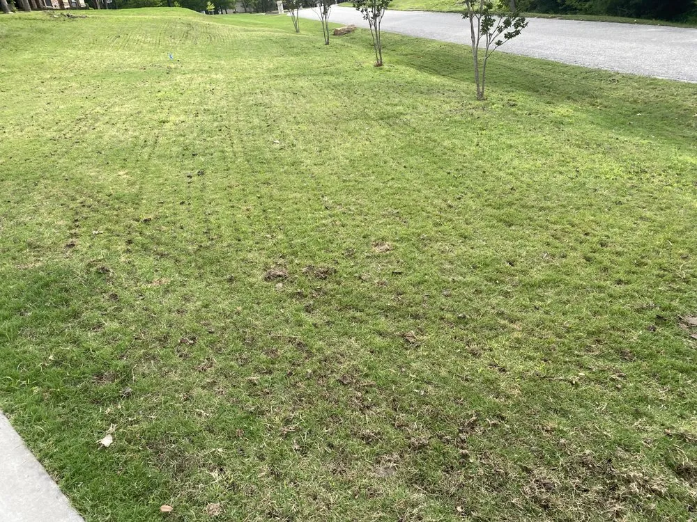 Local landscaping services in Krum, TX - Kings Aeration