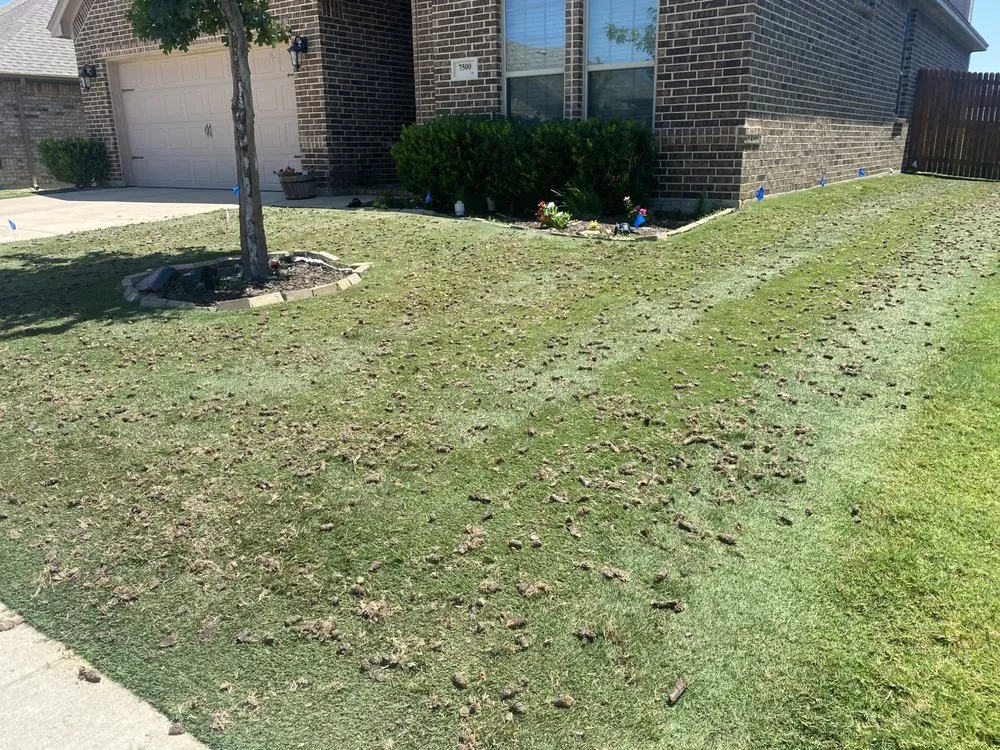 Affordable yard cleanup service in Krum, TX - Kings Aeration