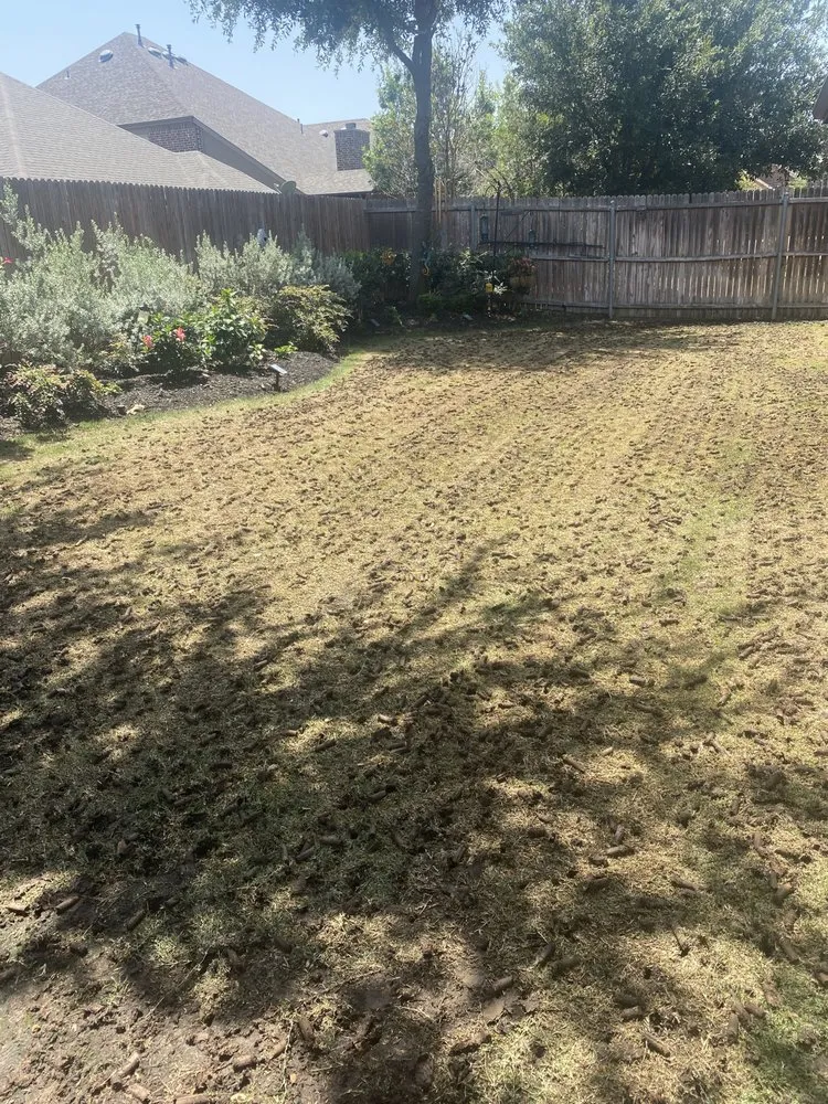 Top-rated outdoor landscaping in Krum, TX by Kings Aeration