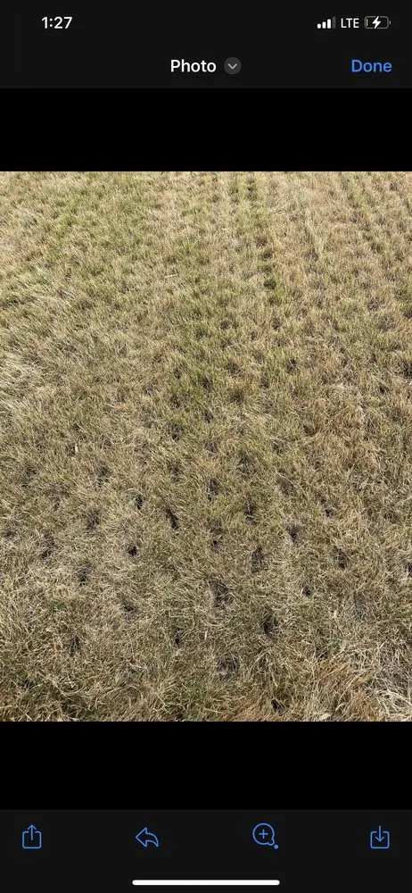 Professional lawn mowing service in Krum, TX - Kings Aeration