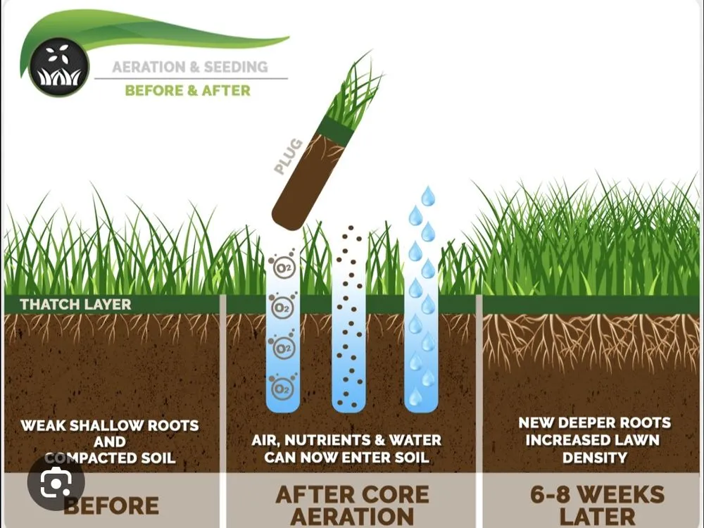 Reliable lawn care service in Krum, TX by Kings Aeration