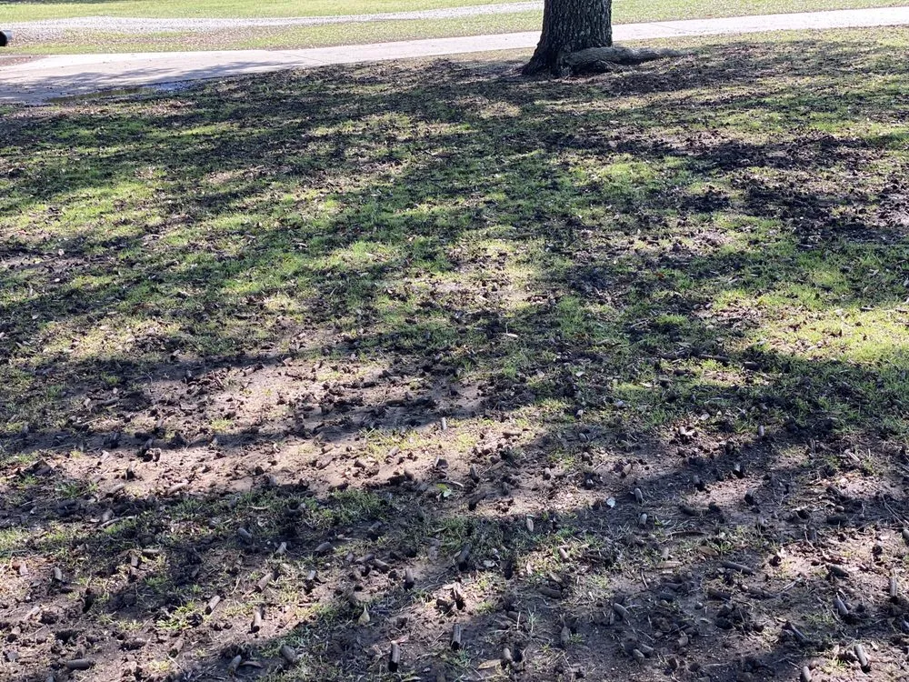 Custom landscape installation in Krum, TX - Kings Aeration