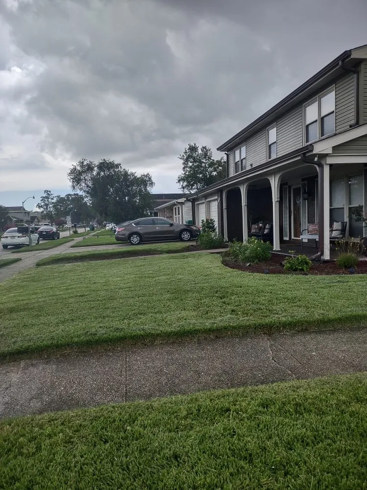 Professional yard cleanup service in Saint Rose, LA - Kings and Queen Lawncare