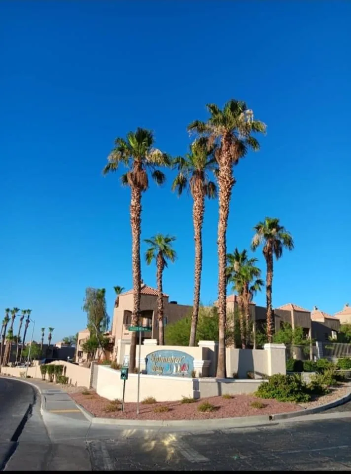 Top-rated landscape design in Bullhead City, AZ by Kings Canyon Landscaping