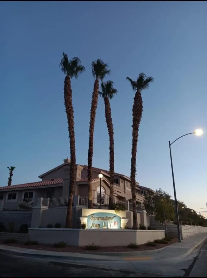 Top-rated outdoor landscaping in Bullhead City, AZ - Kings Canyon Landscaping