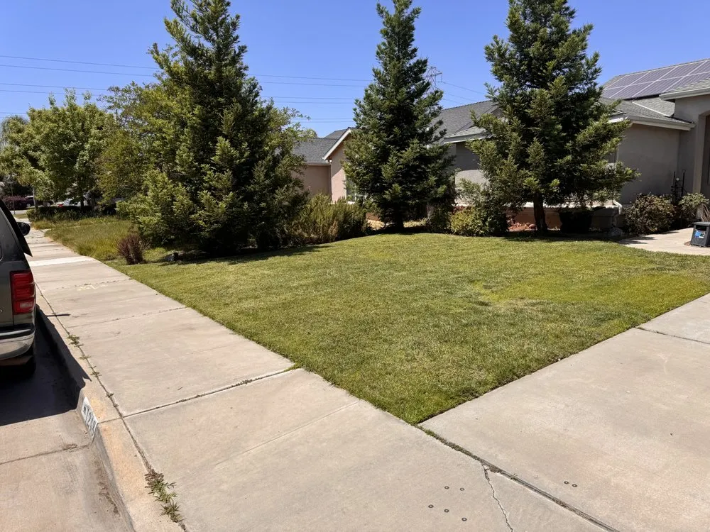 Reliable landscape installation for outdoor upgrades in Sanger, CA by King’s Care Landscape