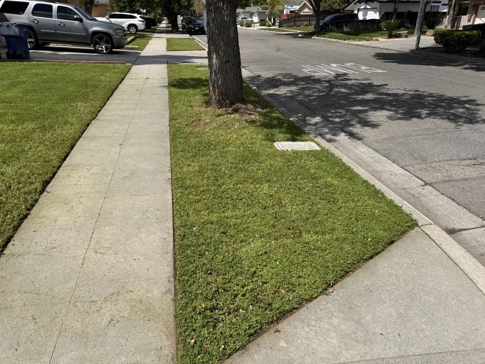 Top-rated landscape installation in Sanger, CA - King’s Care Landscape