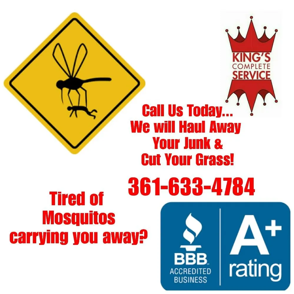 Affordable lawn care service for year-round maintenance in San Antonio, TX by King's Complete Service