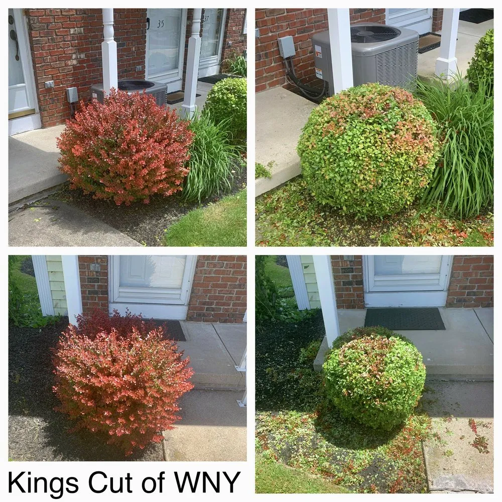 Reliable landscaping services in TN OF TONA, NY - Kings Cut Property Maintenance
