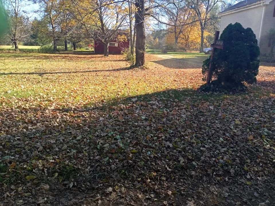 Custom landscaping services for homes across Newport, MI - Kings Cuts Commercial Grounds Maintenance