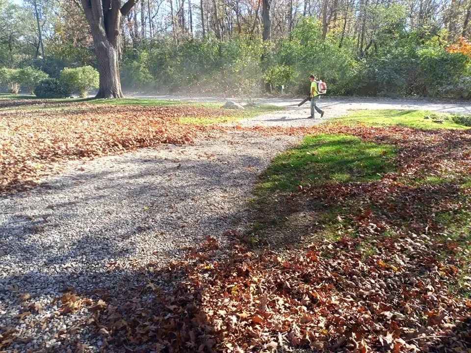 Trusted lawn care service near you across Newport, MI - Kings Cuts Commercial Grounds Maintenance
