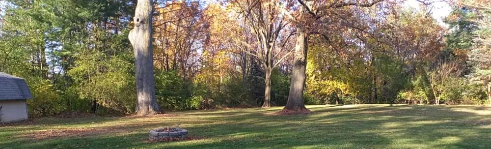 Custom lawn care service in Newport, MI - Kings Cuts Commercial Grounds Maintenance