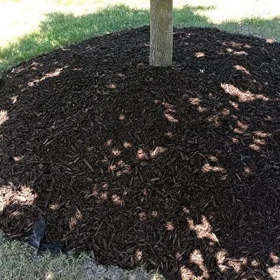 Local landscaping services for residential properties in Newport, MI by Kings Cuts Commercial Grounds Maintenance