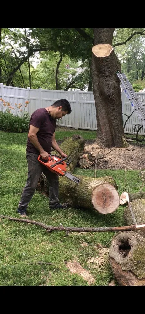 Reliable landscape installation in Gladwyne, PA - Kings Garden Landscape and Hardscape