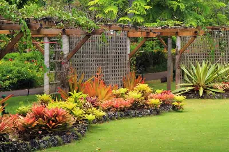 Professional landscape installation in Mountain View, HI by King's Garden Landscape