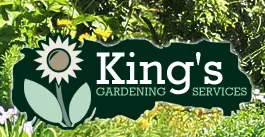 Expert yard cleanup service experts serving San Rafael, CA - King's Gardening Services