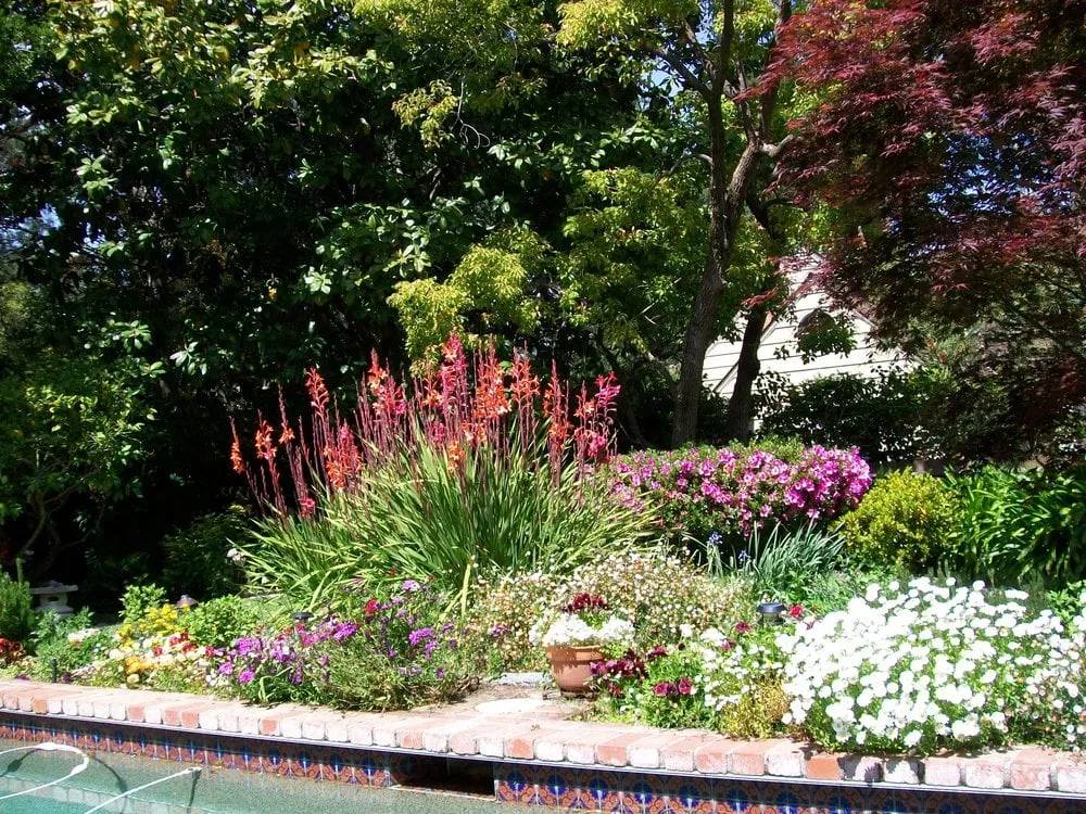 Professional landscape installation experts serving Corte Madera, CA - King's Gardens