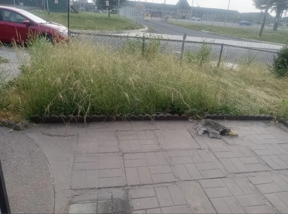 Custom lawn mowing service in Carlisle, PA by Kings Groundskeeping