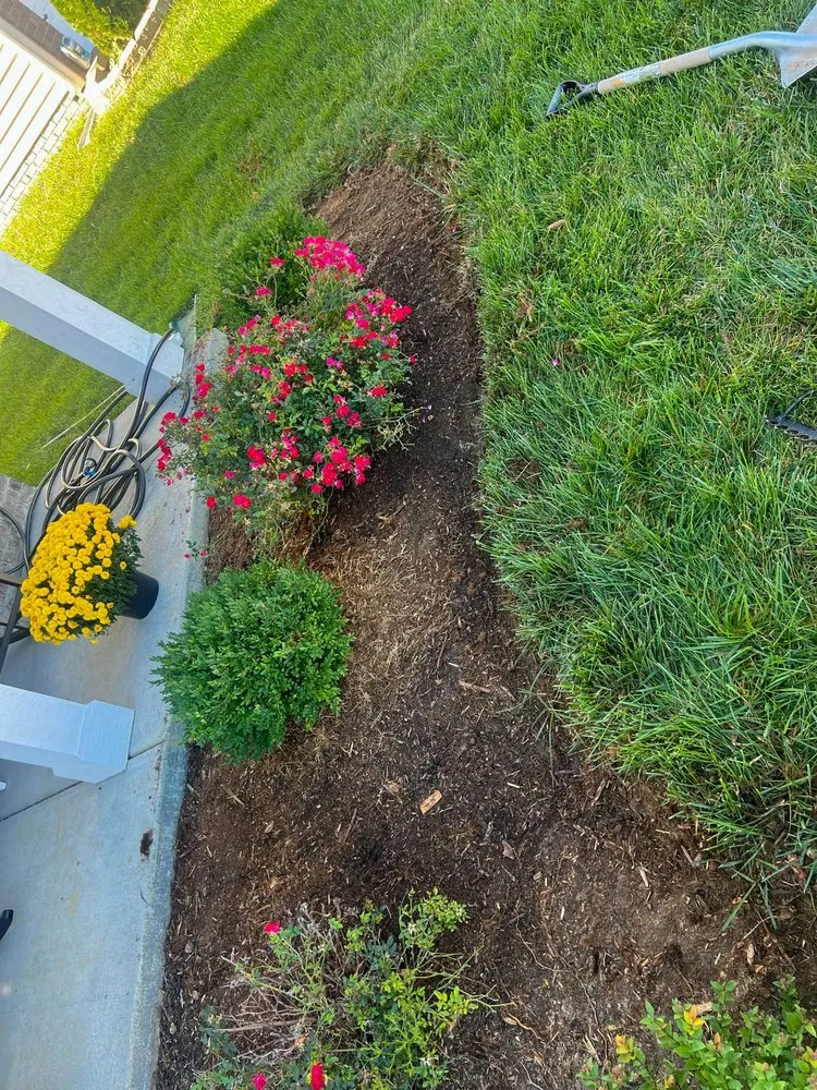 Top-rated lawn care service in Hillview, KY by Kings' Hands