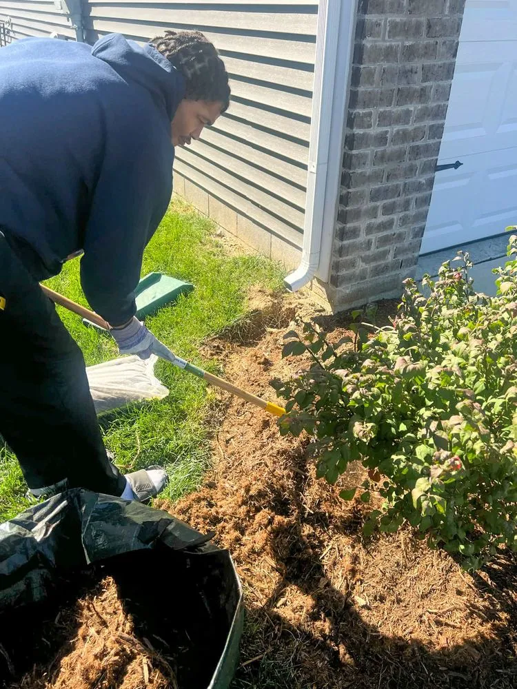 Top-rated outdoor landscaping for beautiful yards in Hillview, KY by Kings' Hands