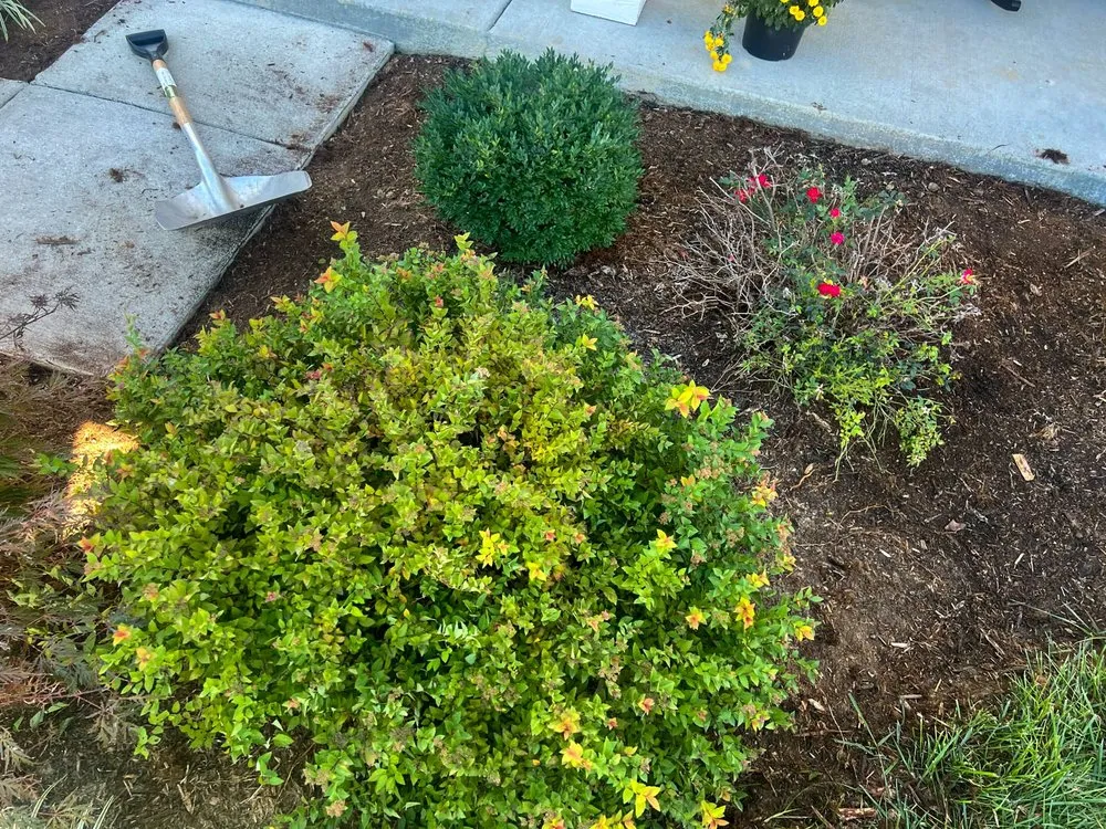 Professional garden landscaping experts serving Hillview, KY - Kings' Hands