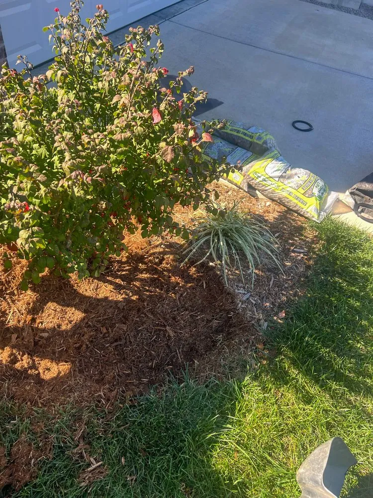 Expert lawn mowing service for outdoor upgrades across Hillview, KY - Kings' Hands