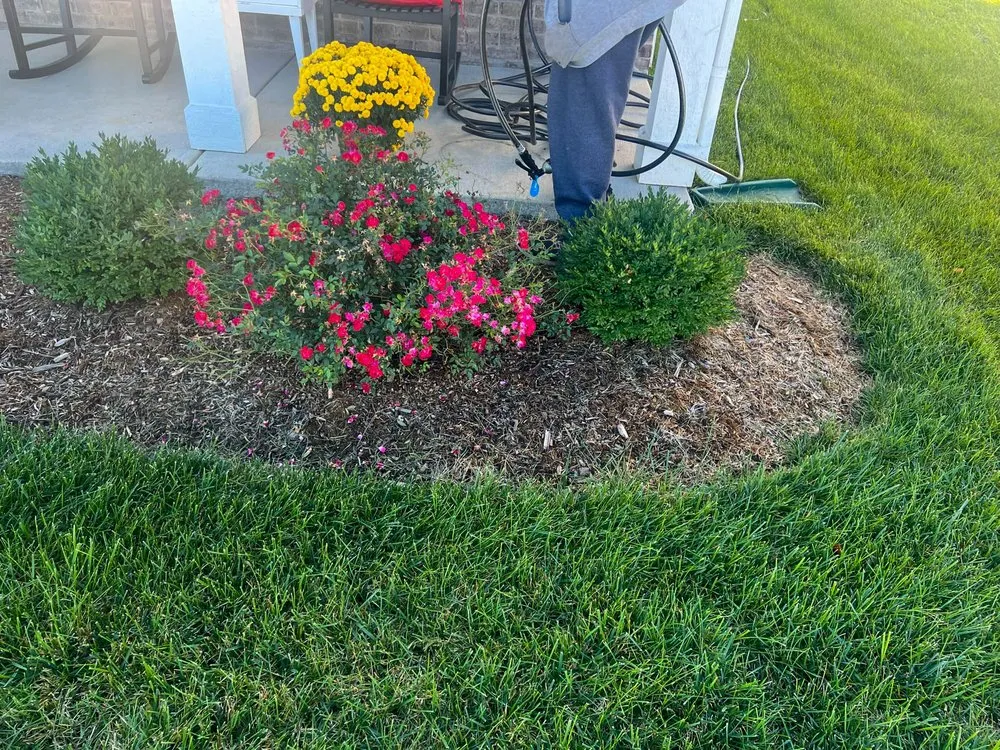 Top-rated lawn care service in Hillview, KY - Kings' Hands