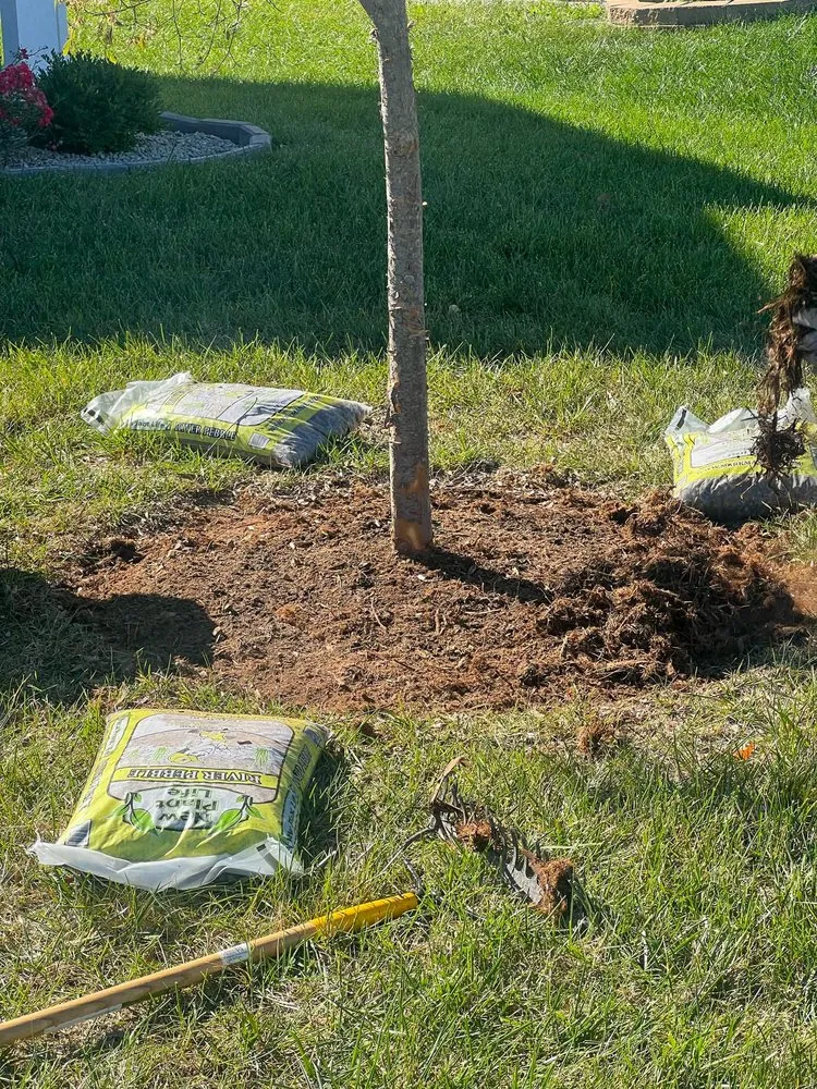 Professional lawn care service in Hillview, KY by Kings' Hands