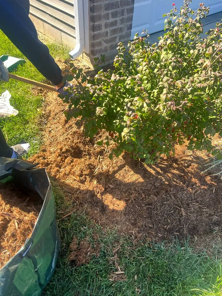 Local landscape design in Hillview, KY - Kings' Hands