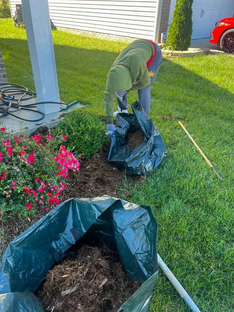 Professional lawn mowing service in Hillview, KY - Kings' Hands