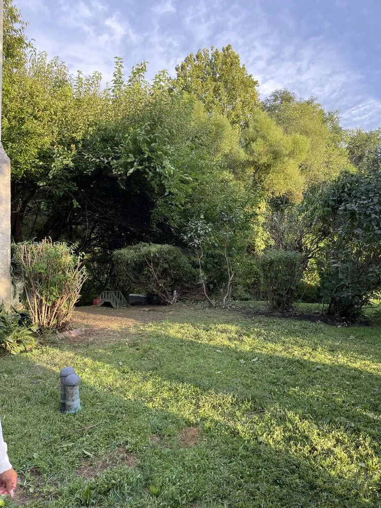 Affordable landscape installation with custom design in Coatesville, PA by Kings Kin Maintenance