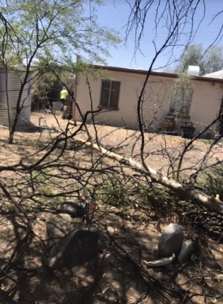 Custom garden landscaping experts serving Tucson, AZ - Kings Landscape And Handy Man Service