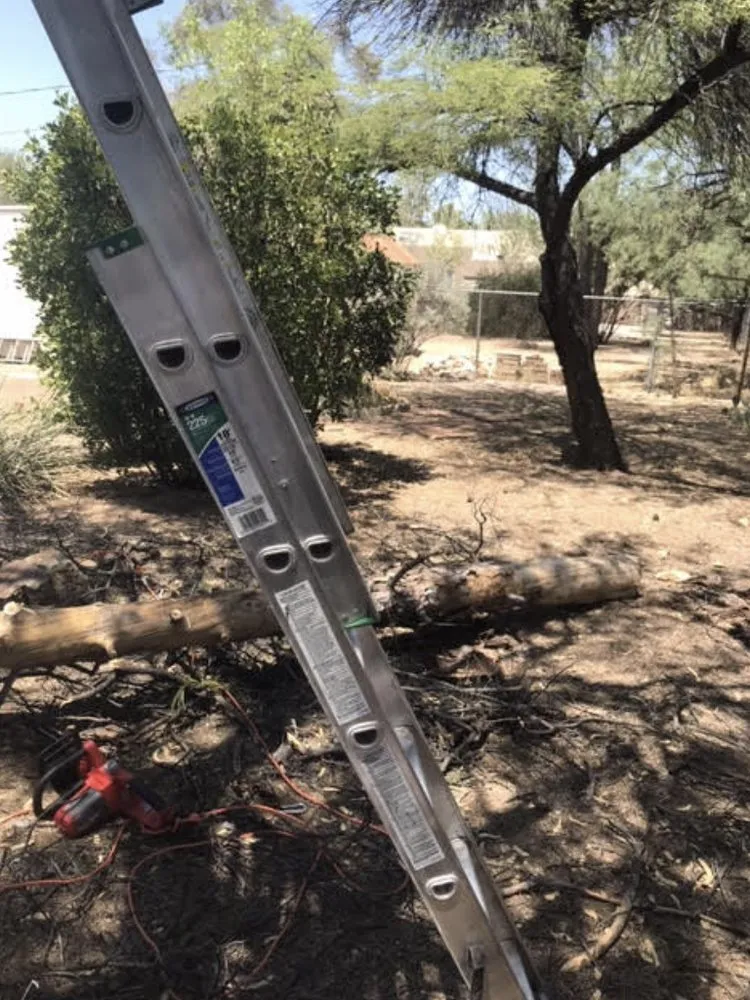 Expert landscape installation for year-round maintenance in Tucson, AZ by Kings Landscape And Handy Man Service