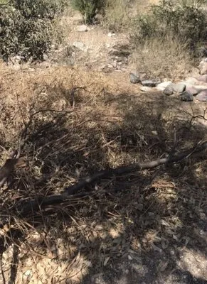 Kings Landscape And Handy Man Service Logo