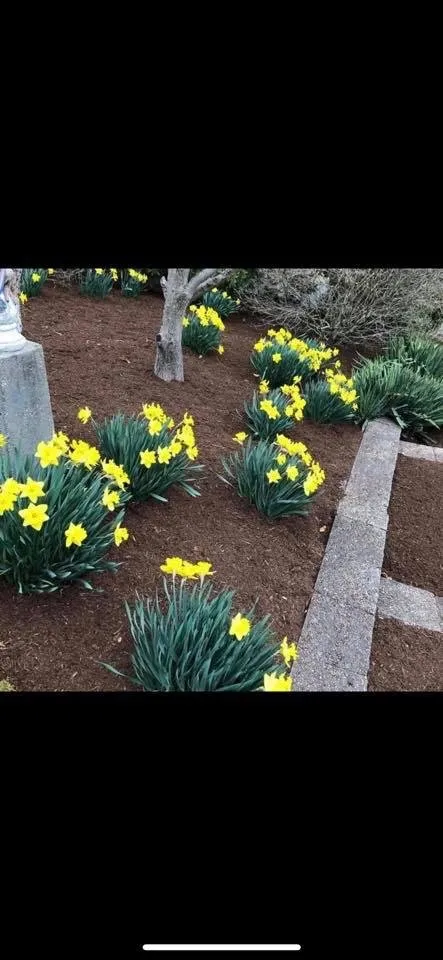 Expert landscape design for homes across Chicopee, MA - King's Landscape