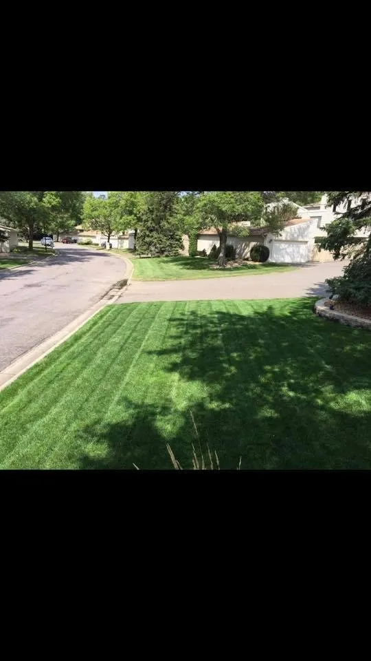 Custom yard maintenance for homes in Chicopee, MA by King's Landscape