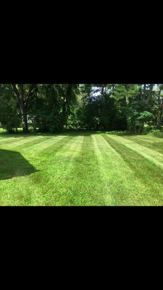 Trusted lawn mowing service experts serving Chicopee, MA - King's Landscape
