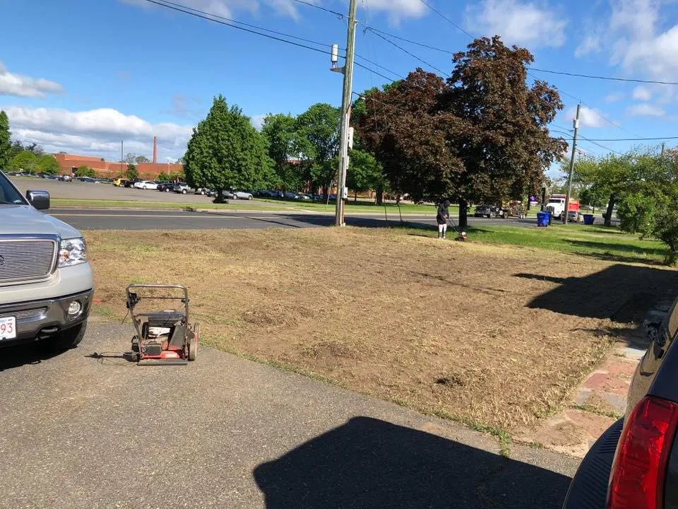 Local lawn care service in Chicopee, MA by King's Landscape