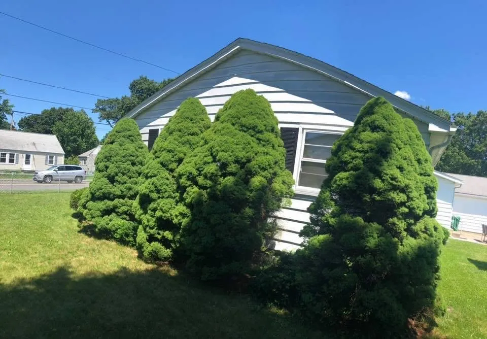 Local lawn care service with custom design across Chicopee, MA - King's Landscape