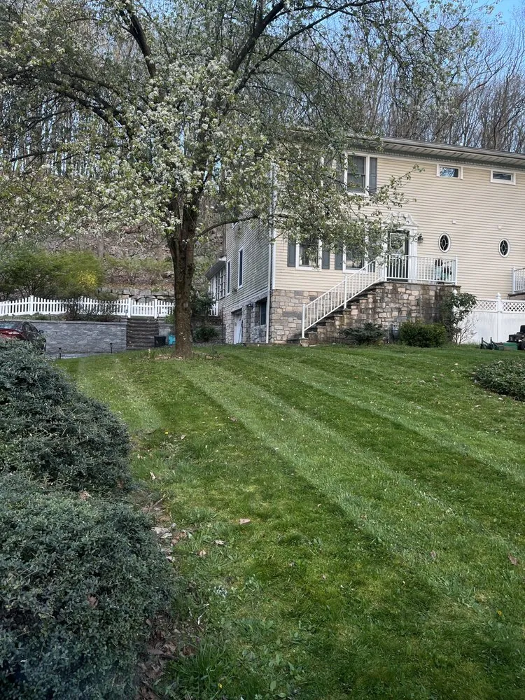 Expert yard maintenance in Dover, NJ by King’s Landscape