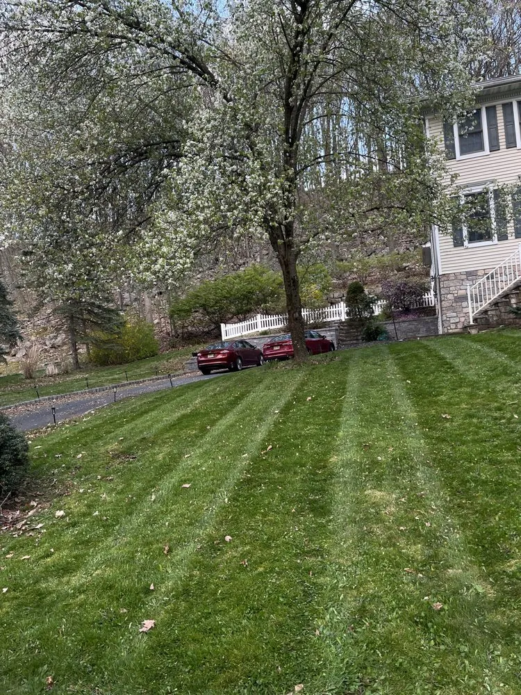 Trusted outdoor landscaping near you in Dover, NJ by King’s Landscape