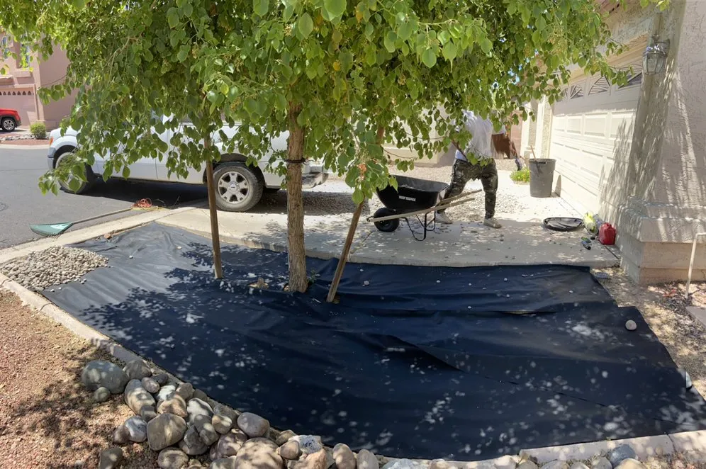 Reliable lawn mowing service in Tolleson, AZ - King’s Landscape