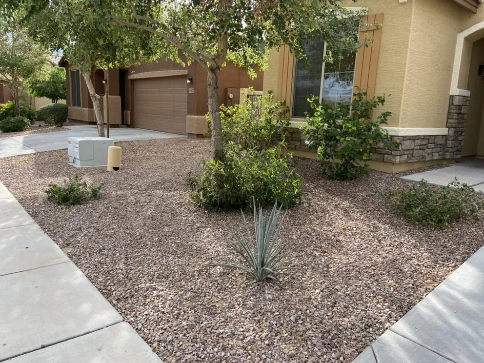 Expert landscape design in Tolleson, AZ - King’s Landscape