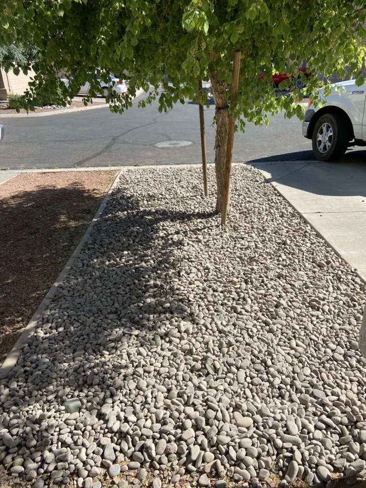 Reliable lawn care service with custom design in Tolleson, AZ by King’s Landscape