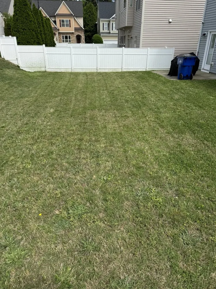 Custom landscape installation in Wake Forest, NC by Kings landscape