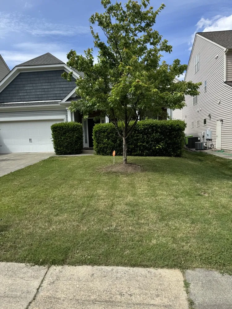 Local landscape design for beautiful yards across Wake Forest, NC - Kings landscape