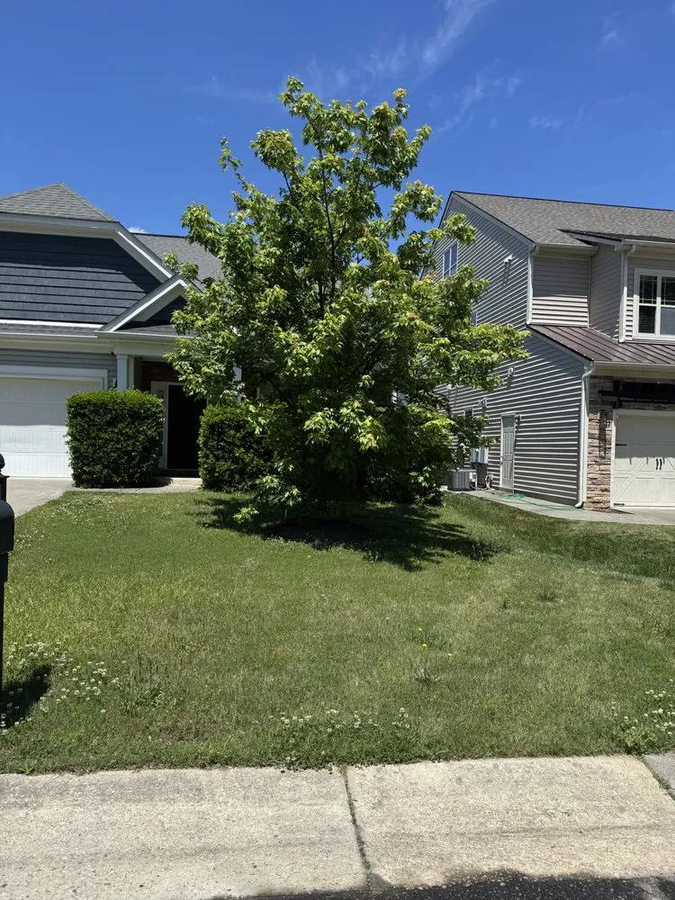 Professional landscape installation in Wake Forest, NC by Kings landscape