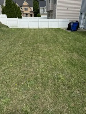 Kings landscape Logo